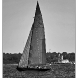 img_8664-copy.jpg
