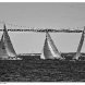 img_8667-copy.jpg