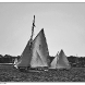 img_8678-copy.jpg