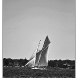 img_8691-copy.jpg