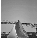 img_8716-copy.jpg