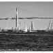 img_8740-copy.jpg