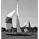 img_8952-copy.jpg