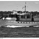 img_8990-copy.jpg