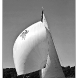 img_9013-copy.jpg