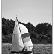 img_9042-copy.jpg