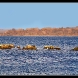 img_4790.jpg